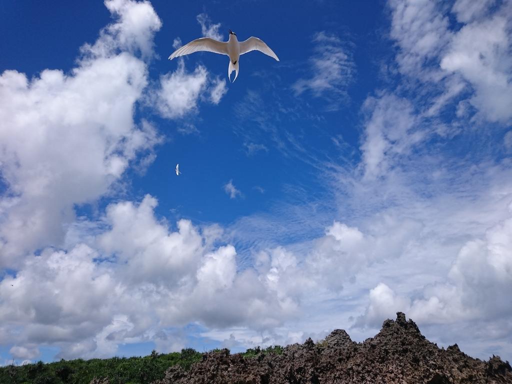 Kaeruya Apartment Nakijin Luaran gambar